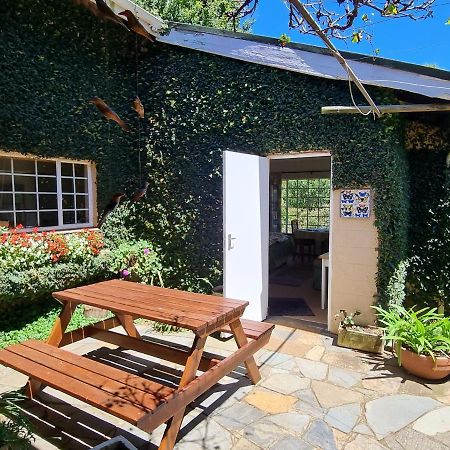 Yellowwood Cottage Хаймвил Екстериор снимка