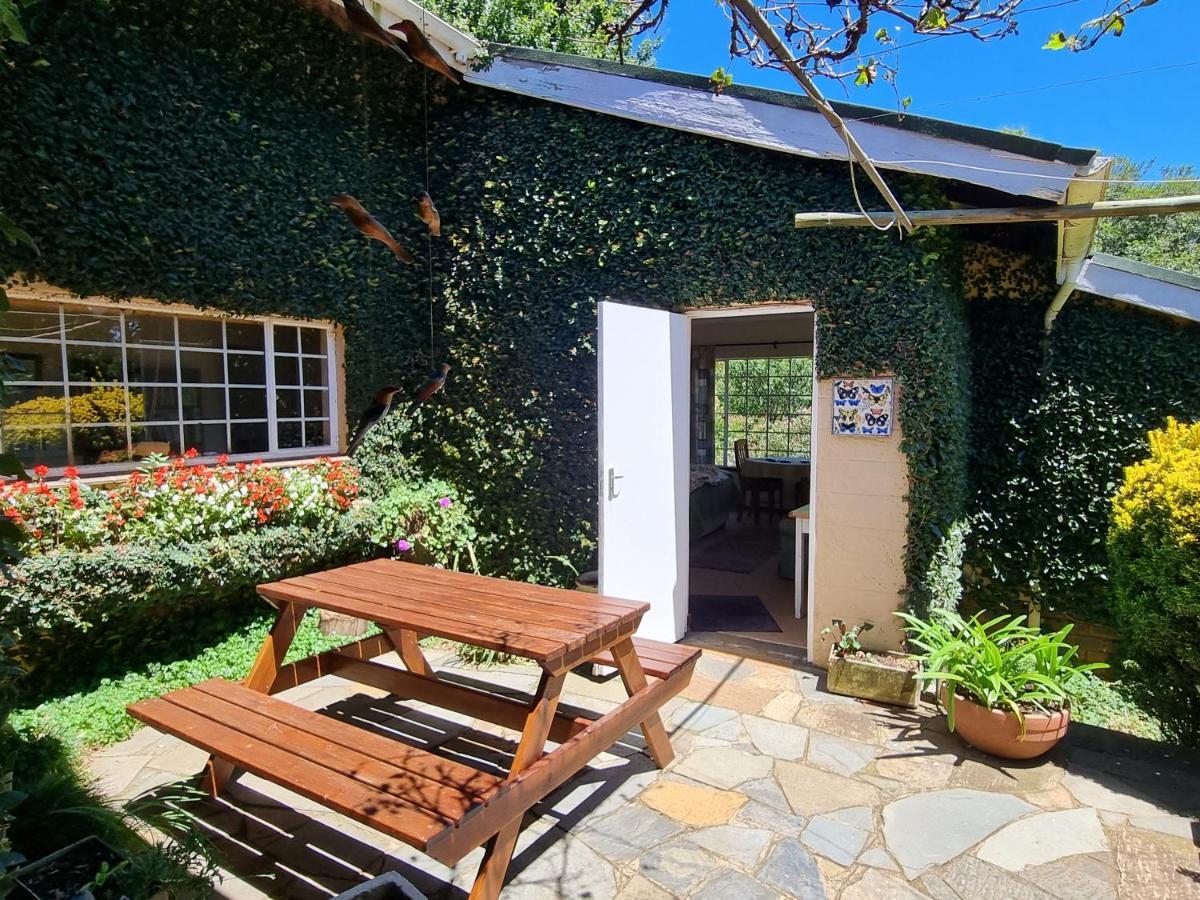 Yellowwood Cottage Хаймвил Екстериор снимка